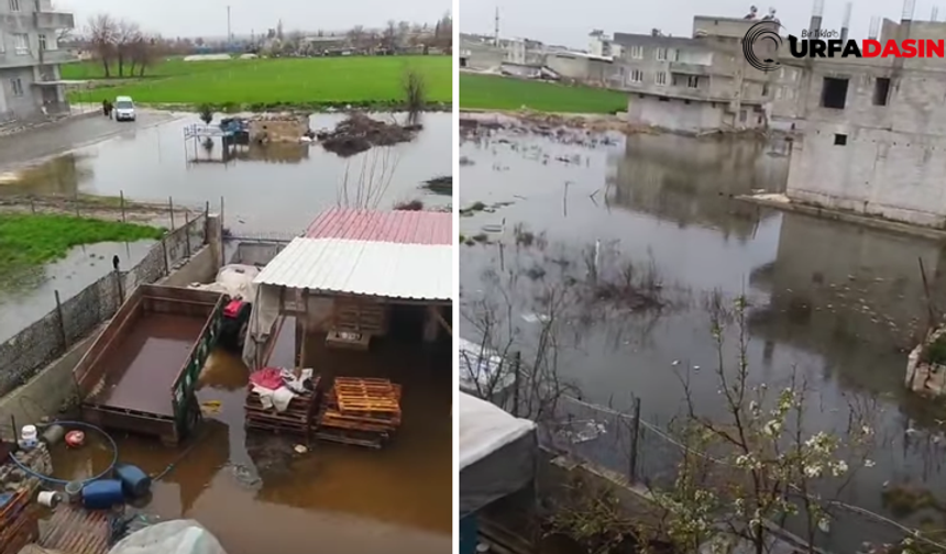 Şanlıurfa Birecik'te Vatandaşlar Eşit ve Adil Hizmet Talep Ediyor