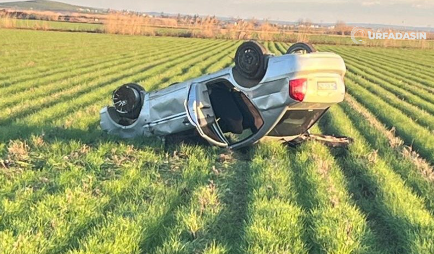 Şanlıurfa Suruç'ta Direksiyon Hakimiyetini Kaybeden Sürücü Kendini Tarlada Buldu