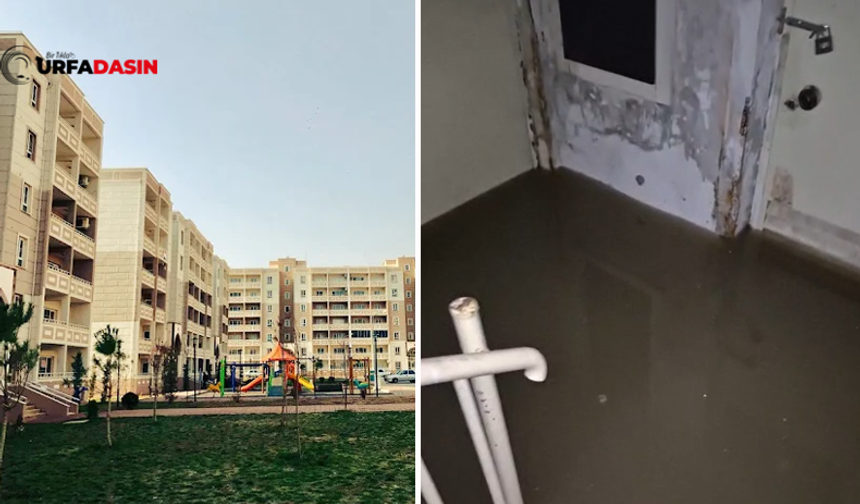 TOKİ'nin Viranşehir Konutları Yetersiz Altyapı Nedeniyle Sular Altında Kaldı