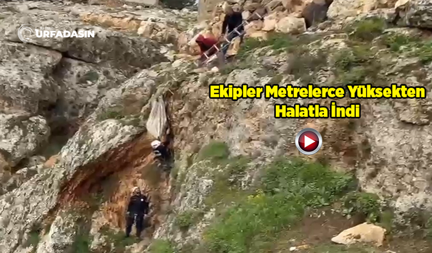 Şanlıurfa'da Uçurumdan Düşen Köpek, 4 Saatlik Çalışmayla Kurtarıldı