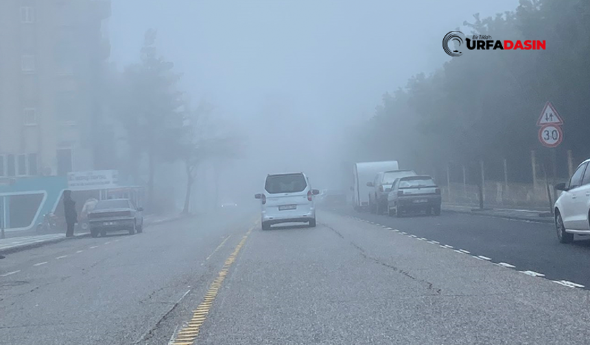 Şanlıurfa’da Yoğun Sis Nedeniyle Görüş Mesafesi Düştü