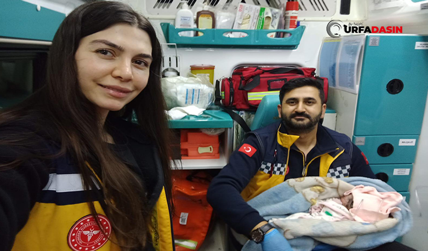 Şanlıurfa'da Sağlık Ekibi Zamanla Yarıştı, Gece Yarısı Ambulansta Doğum