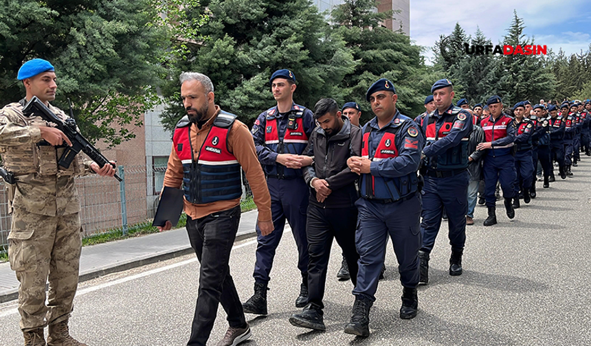 Şanlıurfa'dan Gözaltıların Olduğu Bahis Operasyonunda 81 Şüpheli Adliyeyede