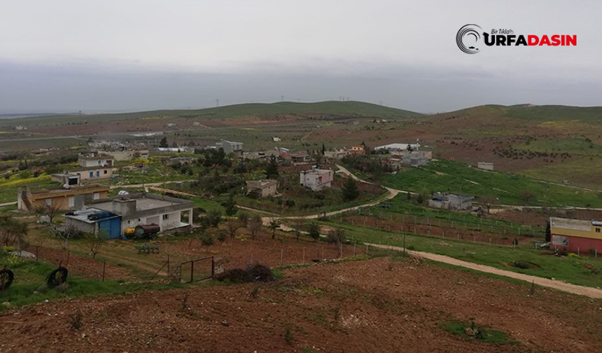 Şanlıurfa'da İki Mahalle Sit Alanı İlan Edildi