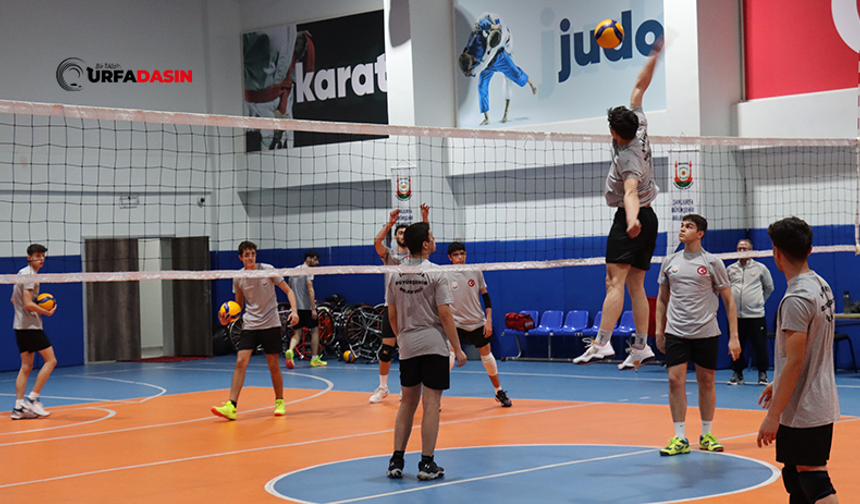 Şanlıurfa Büyükşehir Genç Erkekler Voleybol Takımı, Çeyrek Finallere Hazırlanıyor
