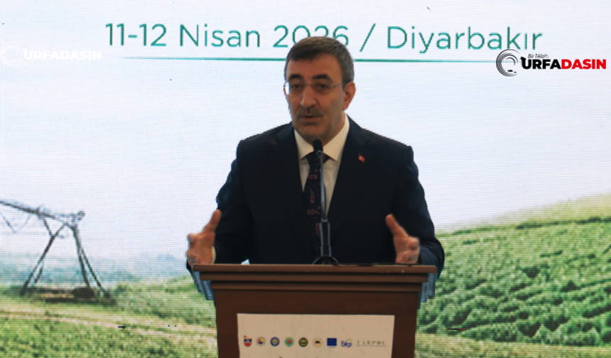 Cumhurbaşkanı Yardımcısı Cevdet Yılmaz: GAP'ta Verimliliği Artırdık