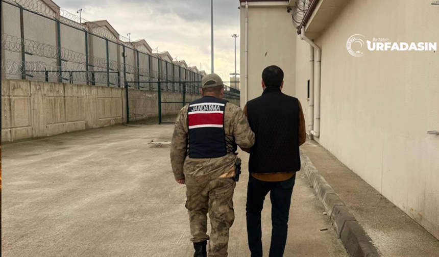 Şanlıurfa'da Cezası Onaylanan 821 Kişi Cezaevine Girdi