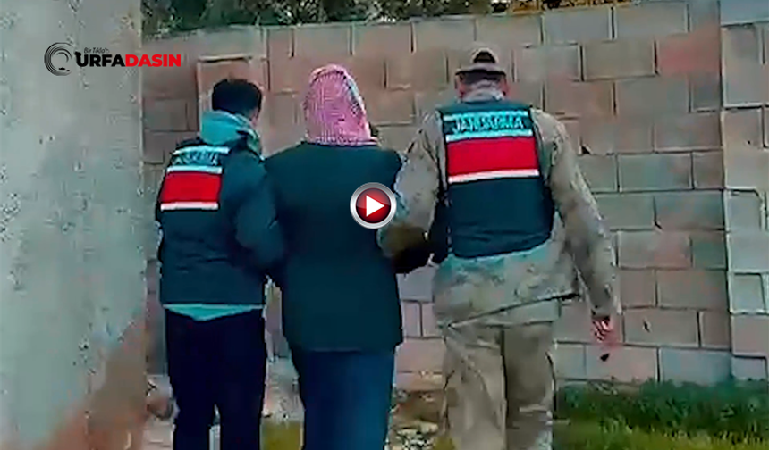 Şanlıurfa’da Çocuğu Kasten Öldürme Suçundan Aranan Firari, Operasyonla Yakalandı