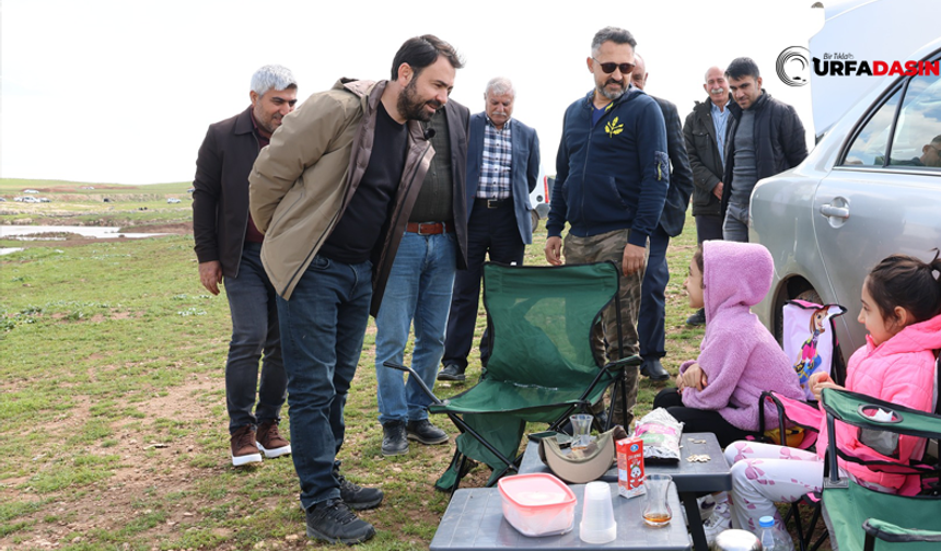 Ceylanpınar’da Cırcıp Deresi Etrafı Piknik Alanına Dönüştü
