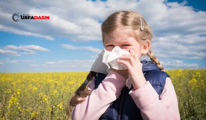 Bahar Alerjisi Çocuklarda Hapşırık Nöbetleriyle Başlayabilir