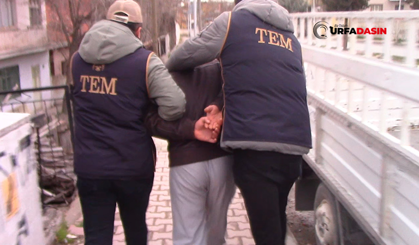 Şanlıurfa ve Malatya'da DEAŞ Operasyonu: 9 Gözaltı