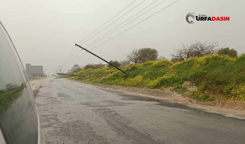 Şanlıurfa'da Elektrik Direkleri Yola Devrildi