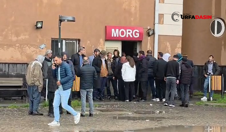 Şanlıurfa'nın Komşusunda Okulun Bahçesine Yıldırım Düştü: 2 Ölü, 1 Ağır Yaralı