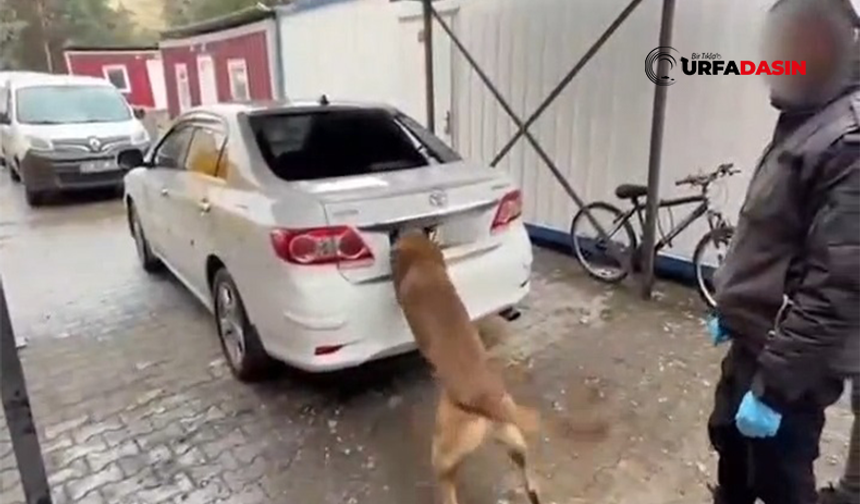 Şanlıurfa Yolundaki Araçta 6 Kilogram Kokain Bulundu: 1 Tutuklama