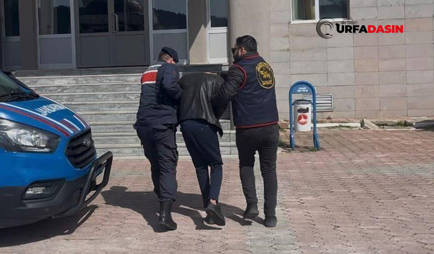Şanlıurfa'da Dolandırıcı "Sahte Komiserlere" Operasyon: 2 Tutuklama