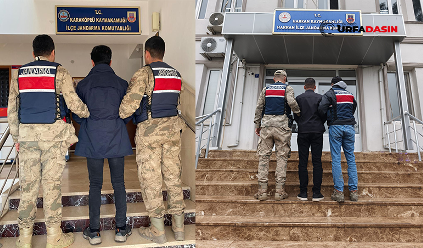 Şanlıurfa’da Hapis Cezasıyla Aranan 2 Firari Yakalandı