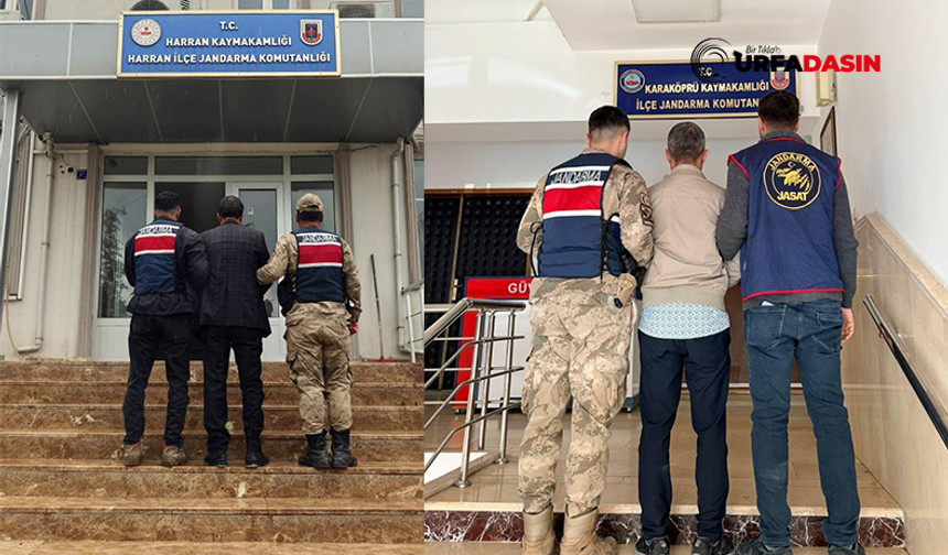 Cinayetten Hırsızlıktan ve Dolandırıcılıktan Aranıyorlardı, Şanlıurfa'da Yakalandı