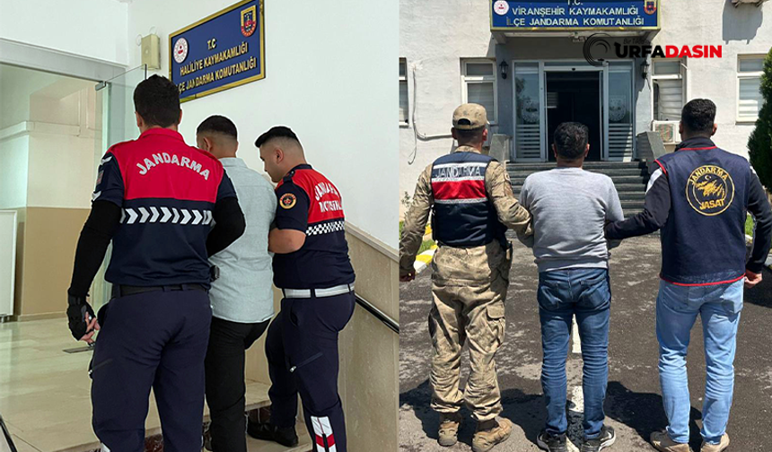 Şanlıurfa'da Her Yerde Aranan 2 Firari Yakalandı