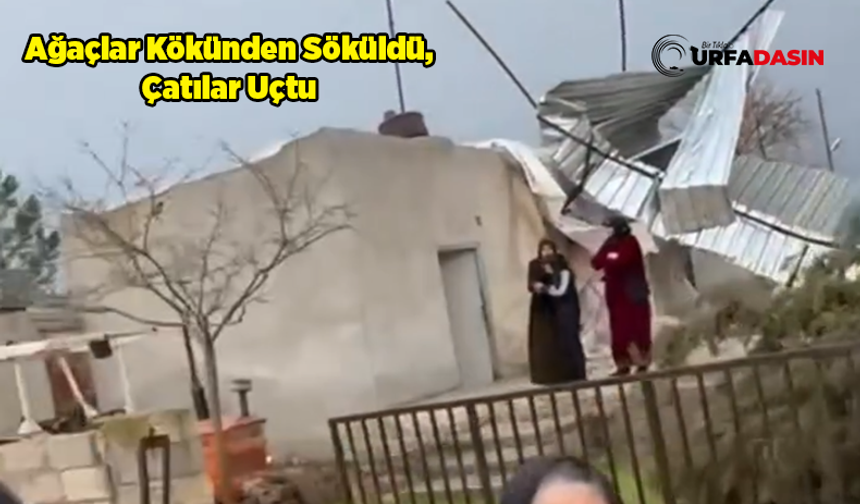 Şanlıurfa'da Hilvan'ın Köyünü Fırtına ve Hortum Vurdu: 2 Yaralı