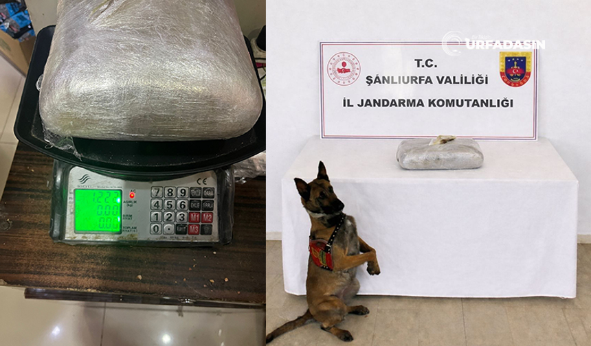 Şanlıurfa'da Kubar Esrar Ele Geçirildi: 1 Gözaltı