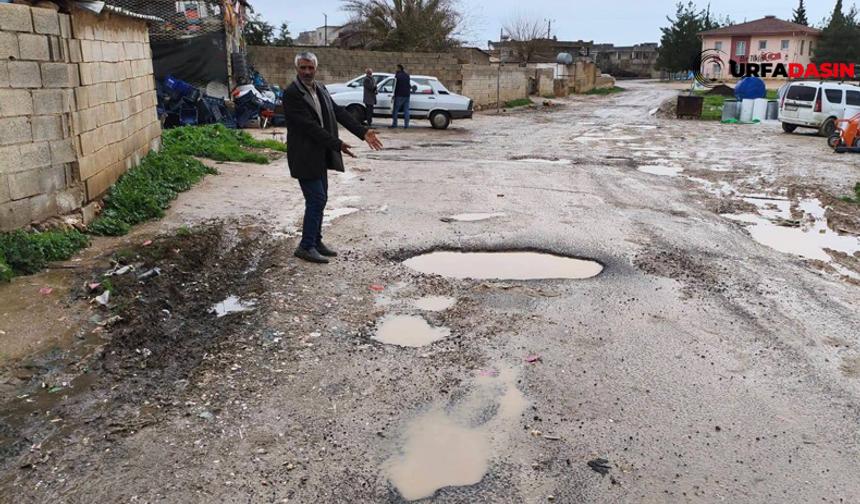 Şanlıurfa Akçakale'de Köy Yolları Deli Eder İnsanı
