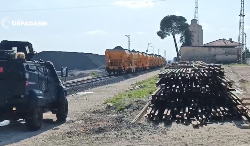 Şanlıurfa'da Mayına Basan Kadın Ağır Yaralandı