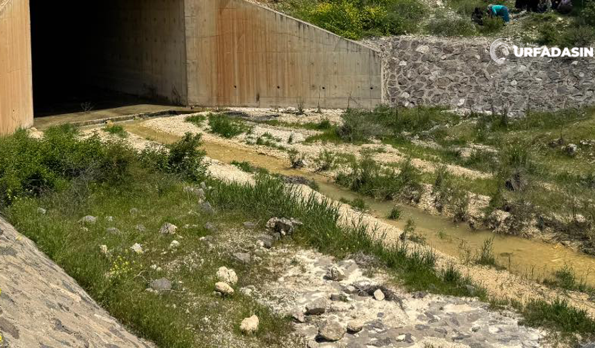 Birecik’te Kayıp Genç Köprünün Menfezinde Ölü Bulundu