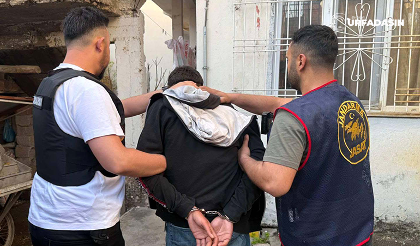 Şanlıurfa'da MİT ve Jandarmadan Siber Suç Şebekesine Operasyon: 12 Gözaltı