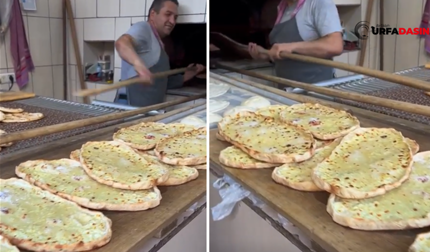 Urfa’da Şimdi Peynirli Ekmek Zamanı