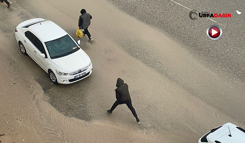 Şanlıurfa'da Aniden Bastıran Sağanak ve Dolu Hazırlıksız Yakaladı
