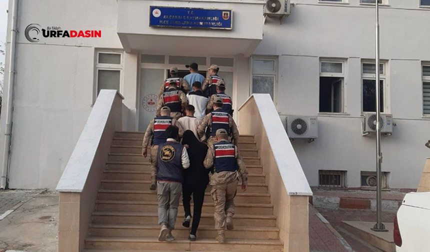 Şanlıurfa'da Göçmen Kaçakçılığı Organizatörlerine Operasyon: 18 Gözaltı