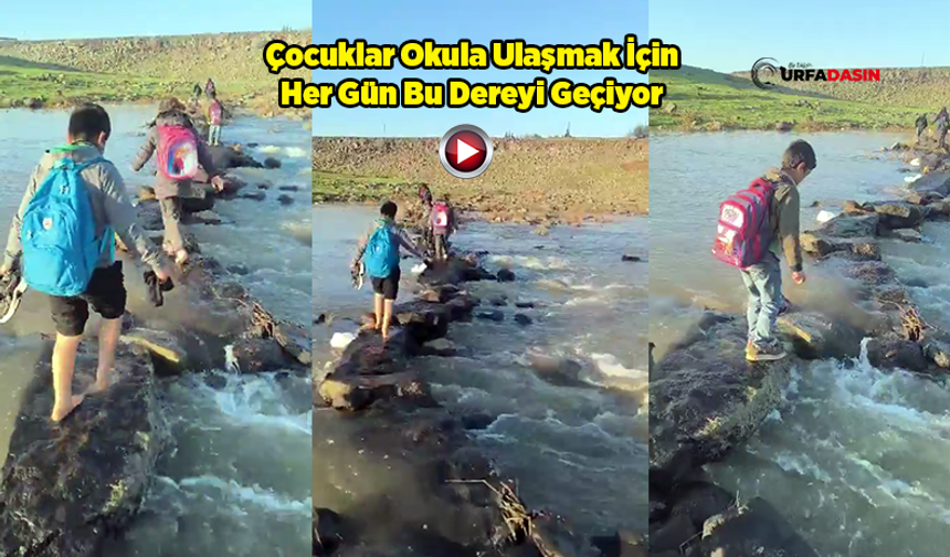 Tehlikeli Okul Yolları: TRT Belgeseli Değil Şanlıurfa'da Bir Okul Yolu