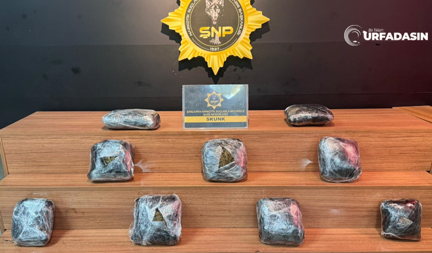 Şanlıurfa'da 8 Kilo Skunk Ele Geçirildi