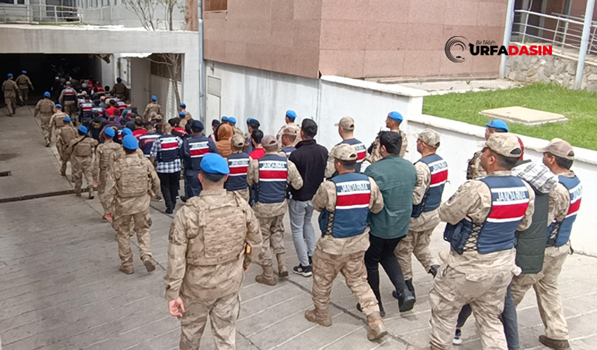 Şanlıurfa'dan Gözaltıların Olduğu Bahis ve Suç Örgütü Operasyonunda 70 Tutuklama