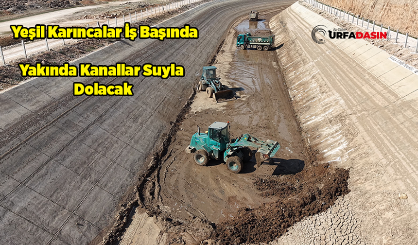 Şanlıurfa’da Sulama Sezonu Öncesi Kanallar Temizleniyor