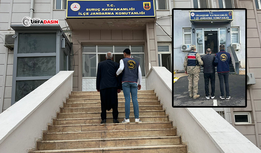Şanlıurfa’da Aranan 2 Firari Jandarma Ekiplerince Yakalandı
