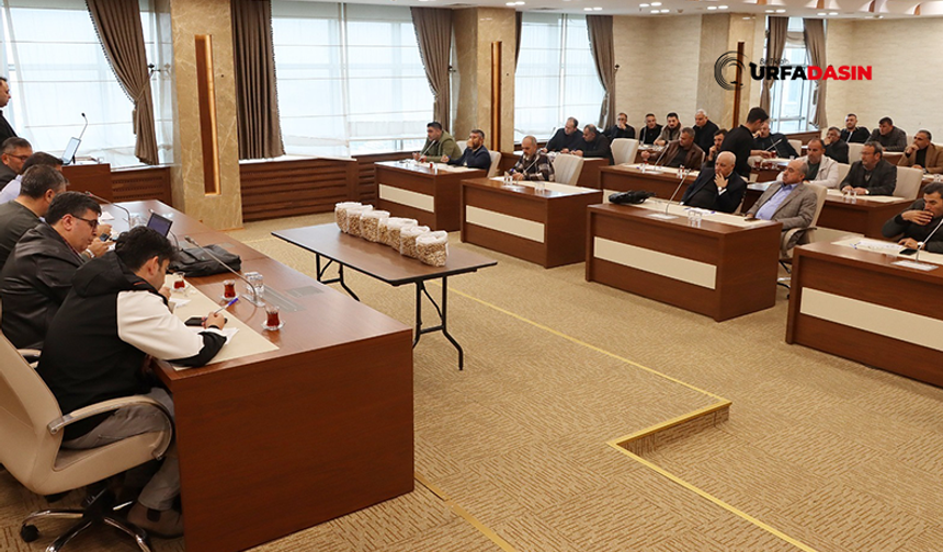 Şanlıurfa TİGEM'e Ait Antep Fıstığı İhaleyle Satıldı