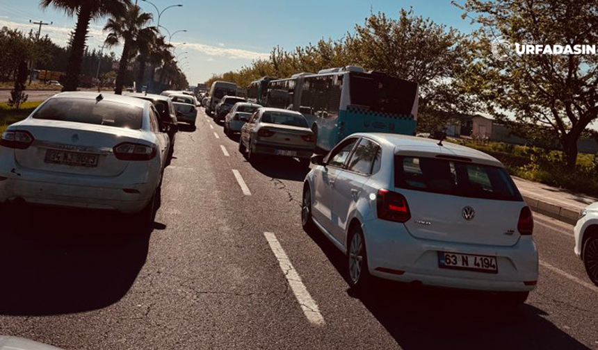 Şanlıurfa Mardin Yolunda Trafik Felç Oldu