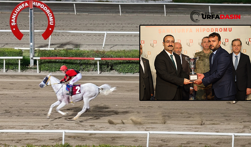 Şanlıurfa Kurtuluş Koşusu'nu Kazanan Yarış Atı Belli Oldu
