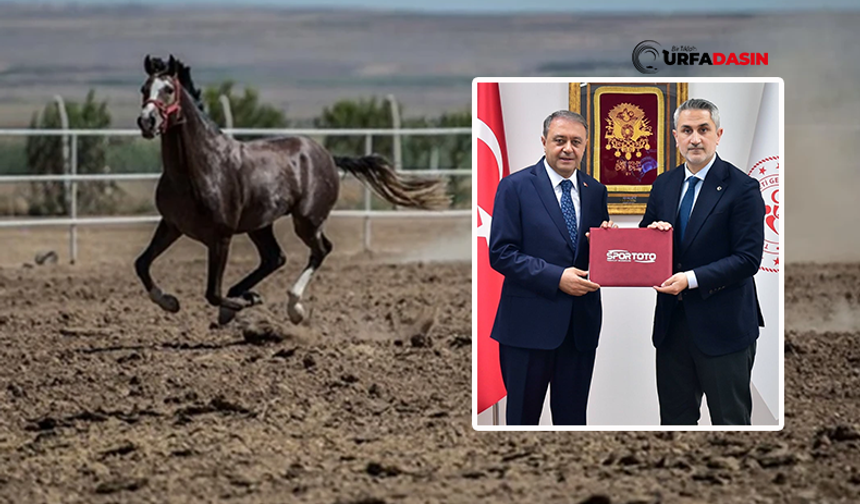 Şanlıurfa Valisi Şıldak Paylaştı: Suruç Arap Atları İçin Protokol İmzalandı