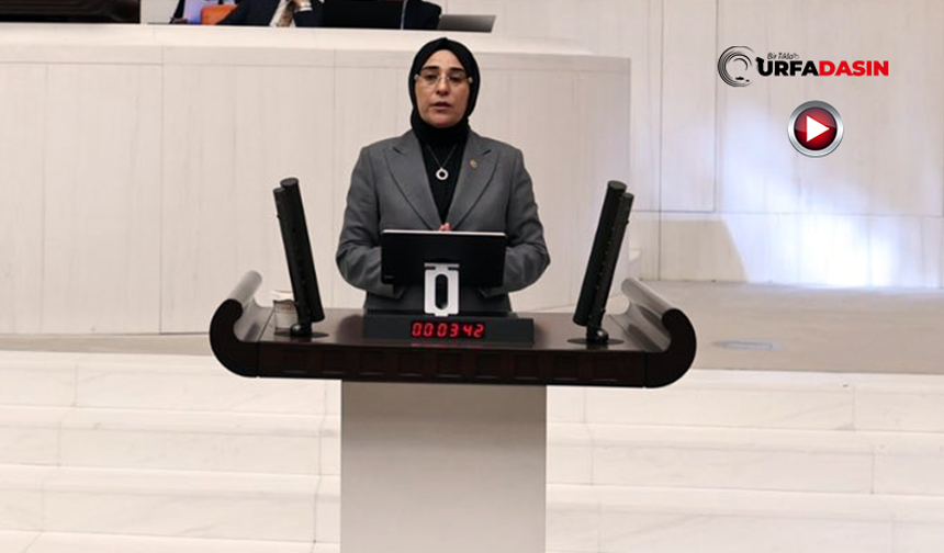 Milletvekili Yazmacı, TBMM Genel Kurulunda Şanlıurfa’daki Yatırımları Anlattı