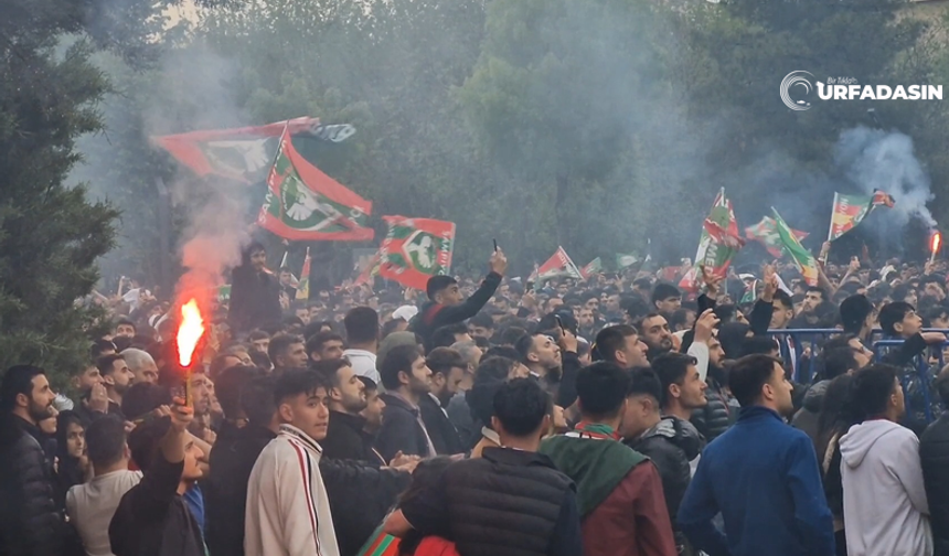Amed Spor Süper Lige Yükseldi Diyarbakır'da Büyük Bir Sevinç Yaşandı
