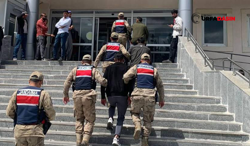 Şanlıurfa'da Kesinleşmiş Hapis Cezası Bulunan 3 Firari Yakalandı