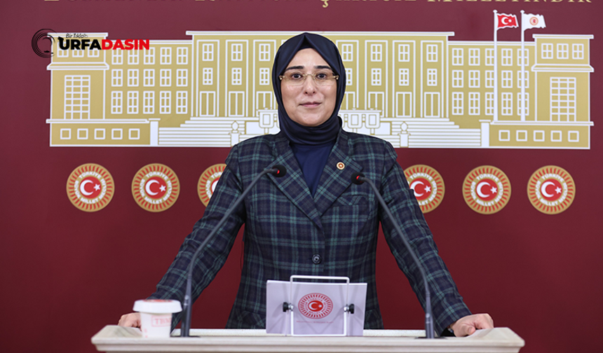 AK Parti Şanlıurfa Milletvekili Yazmacı’dan Kurban Bayramı Mesajı