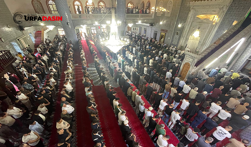 Şanlıurfa'da Kurban Bayramı Coskusu Camilere Sığmadı