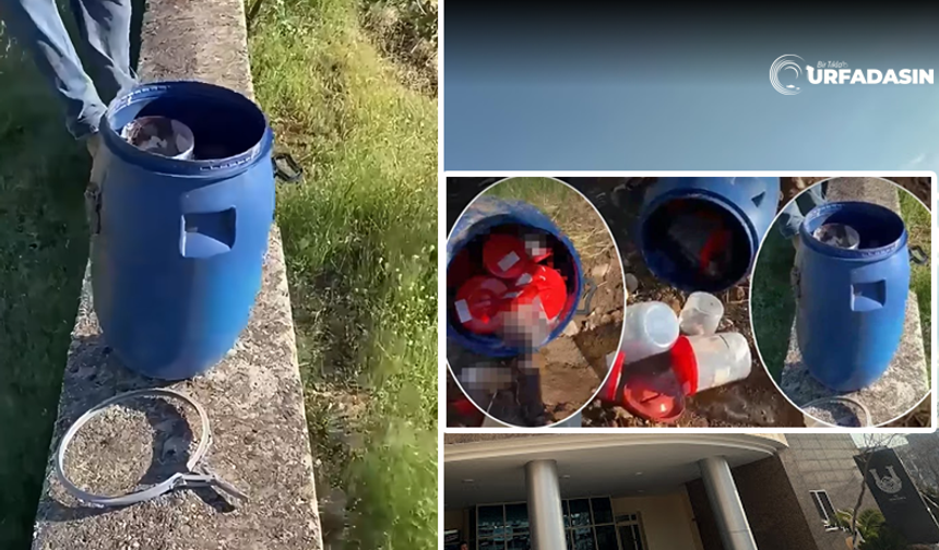 Şanlıurfa'daki Bu Rezaletin Perde Arkasındaki Bir Başka İddia !