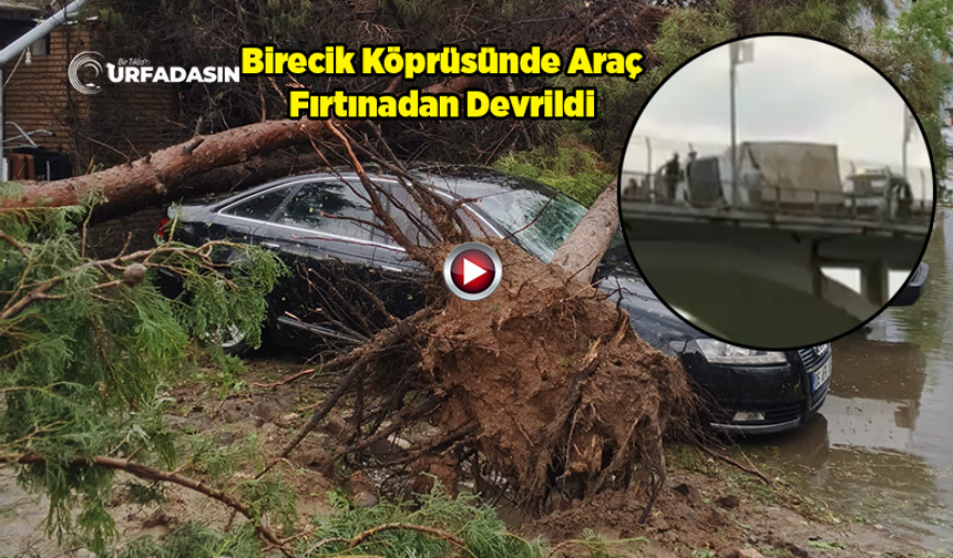 Şanlıurfa Birecik'i Fırtına Vurdu: Duba Restoranların Halatı Koptu, Çatılar Uçtu