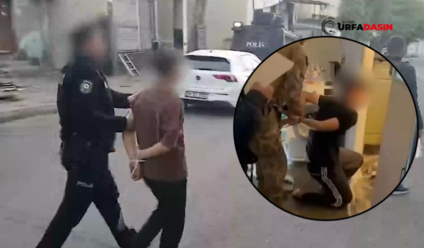 Komşu İldeki Büyük Operasyon Şanlıurfa'ya Sıçradı: 402 Gözaltı