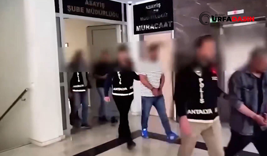 Şanlıurfa Dahil 24 İlde "Sazan Sarmalı" Dolandırıcılığı: 133 Tutuklama