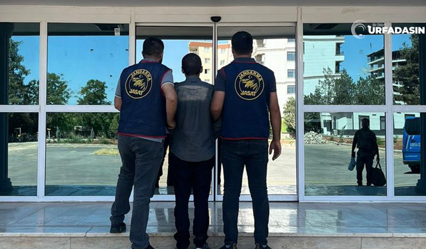Şanlıurfa’da Dolandırıcılıktan 4 Yıl Hapis Cezası Alan Şahıs Cezaevine Gönderildi